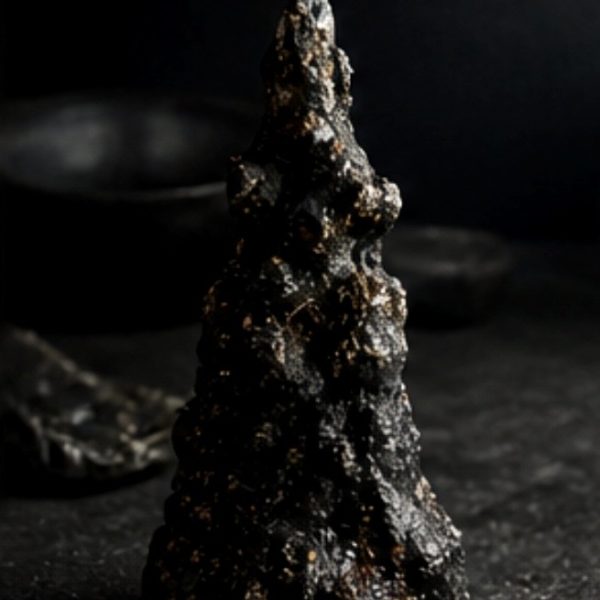 Earth connection ~ Grounding Ceremonies