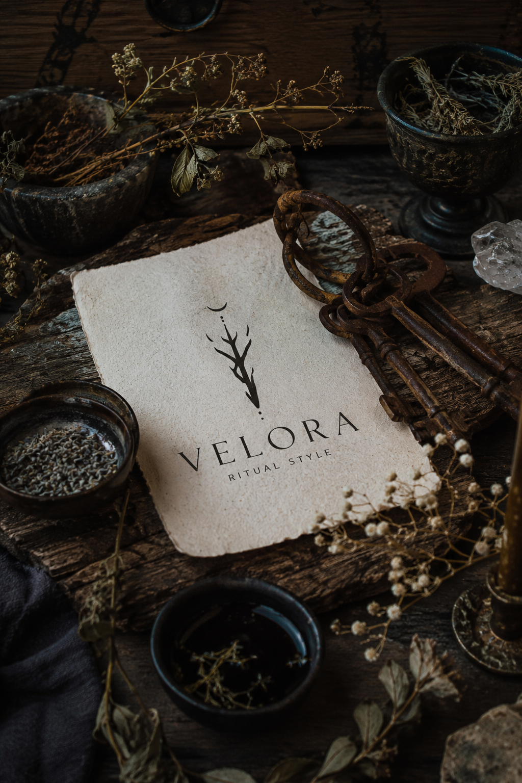 ~ VELORA ~ - Image 4